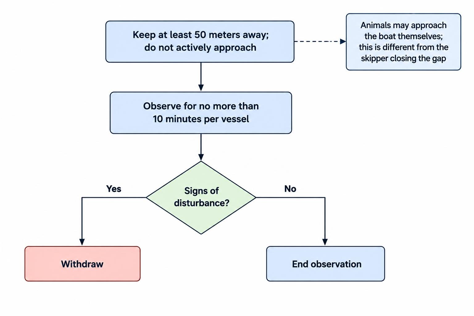 A simple flow diagram showing a boat keeping at least 50 meters from marine mammals, limiting observation to 10 minutes per vessel, and withdrawing if animals show disturbance; animals may approach the boat on their own.