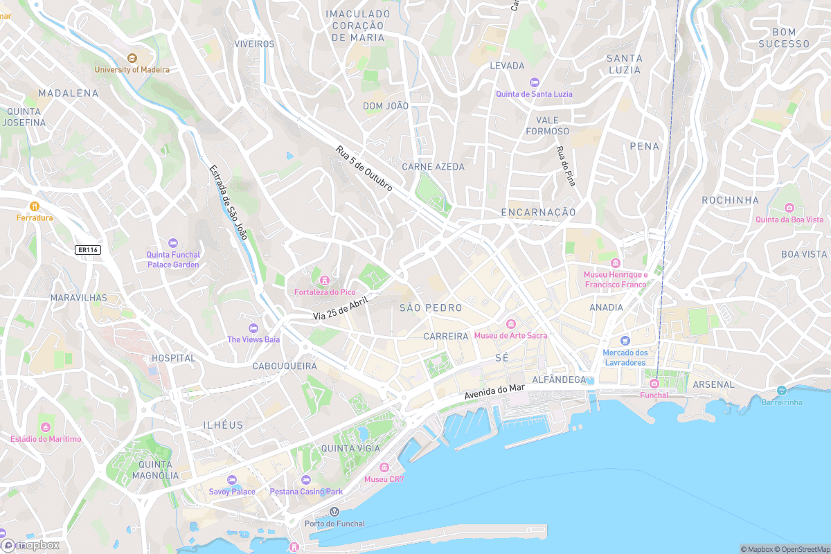 North-up street map of central Funchal, showing the surrounding street network and existing place labels near the market, cathedral and main shopping streets.