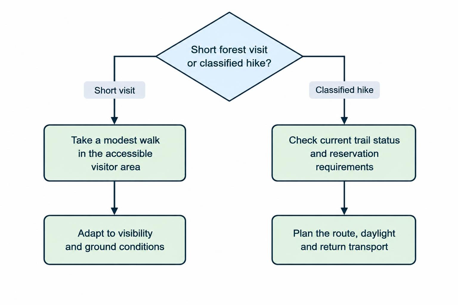 A simple decision flow contrasts a flexible short forest visit with a classified hike that needs route preparation, reservation checks and return-transport planning.