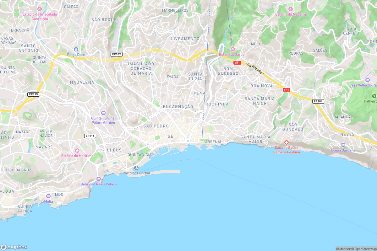 North-up street map of central Funchal, showing the Old Town area and nearby waterfront in the context of the city.
