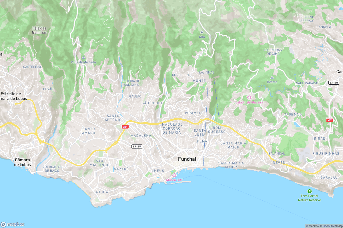 North-up street map of Funchal showing the city centre and surrounding area, including the hillside behind the waterfront.