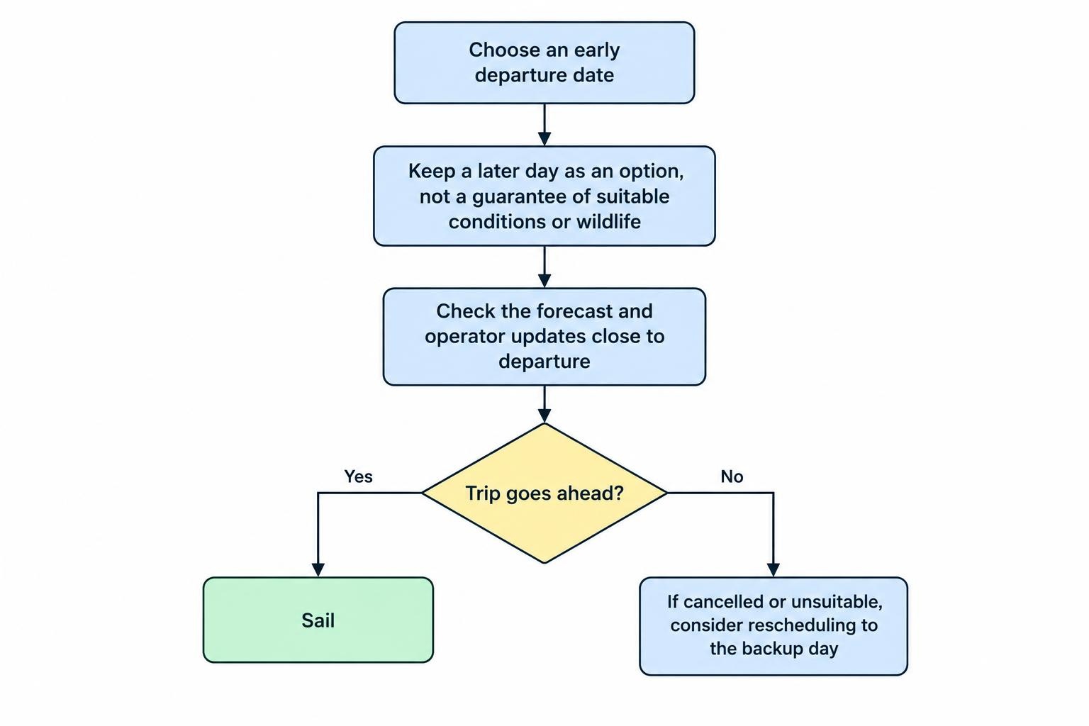A simple planning flow: book a whale-watching departure early in the stay, retain a later backup day, check conditions and operator updates, then sail or reschedule if needed.